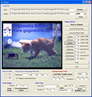 GOGO Picture Viewer Pro ActiveX SDK screenshot